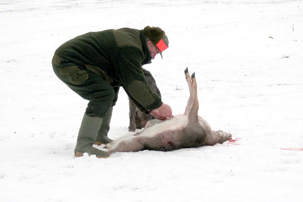 Killikus® Fotographie Killikus® Fotographie